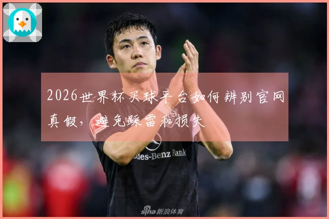 2026世界杯买球平台如何辨别官网真假，避免踩雷和损失