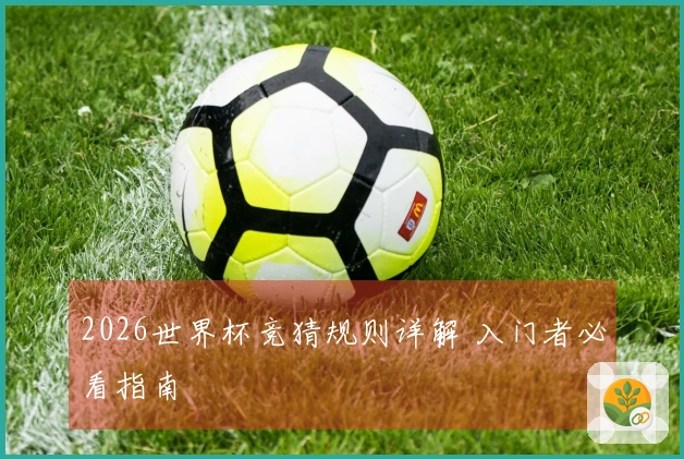 2026世界杯竞猜规则详解 入门者必看指南