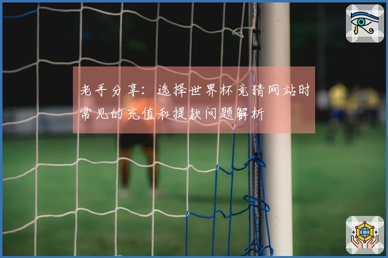 老手分享：选择世界杯竞猜网站时常见的充值和提款问题解析