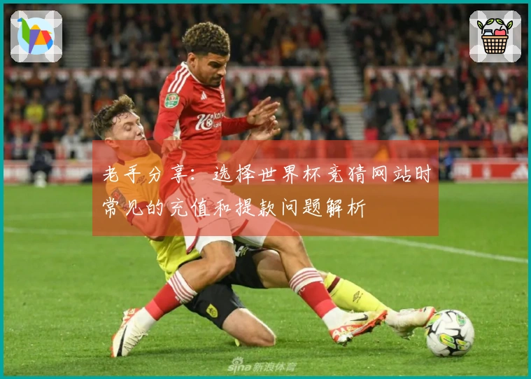 老手分享：选择世界杯竞猜网站时常见的充值和提款问题解析