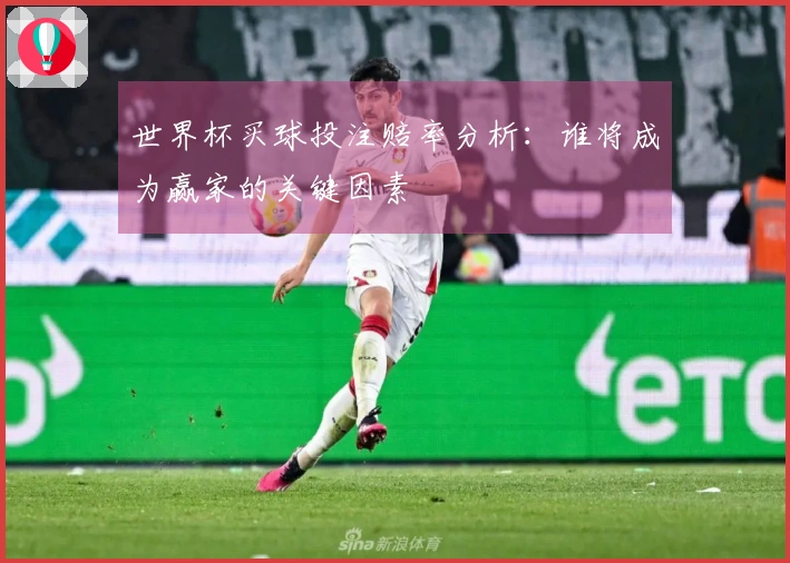 世界杯买球投注赔率分析：谁将成为赢家的关键因素